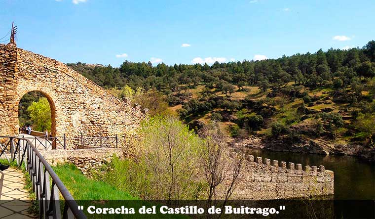 Coracha del Castillo de Buitrago.