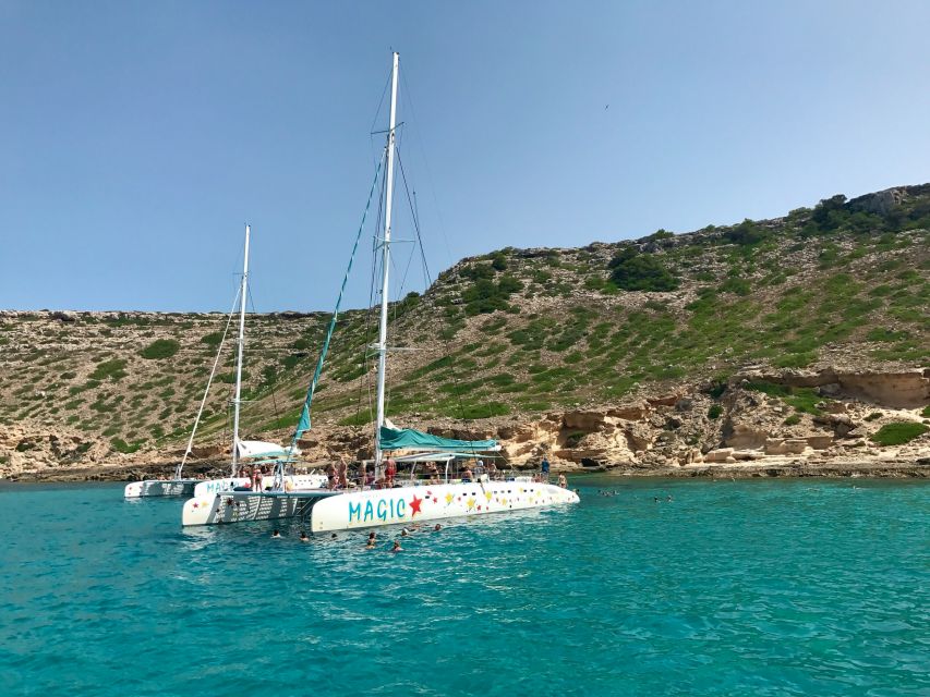 Desde Palma de Mallorca crucero de cinco horas en catamarán